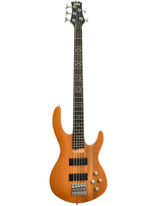 magnum std