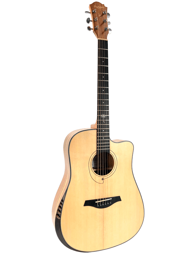 PD55S CEQ