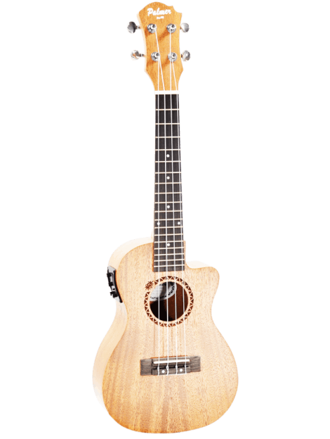 maui ceq nat